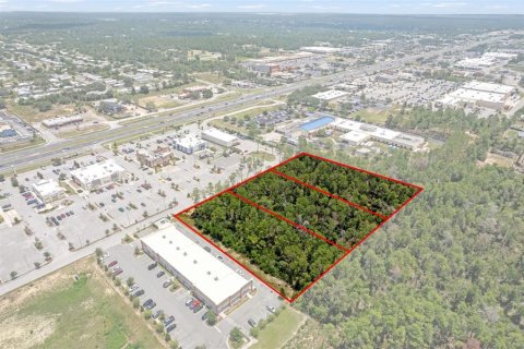 Land in Brooksville, Florida № 1831189 - photo 16