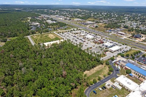Land in Brooksville, Florida № 1831189 - photo 8