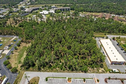 Land in Brooksville, Florida № 1831189 - photo 2