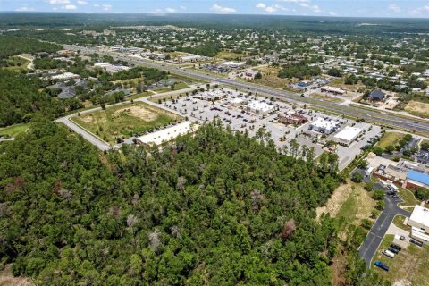 Land in Brooksville, Florida № 1831189 - photo 10