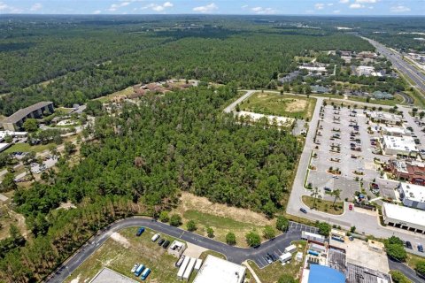 Land in Brooksville, Florida № 1831189 - photo 5