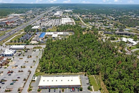 Land in Brooksville, Florida № 1831189 - photo 18