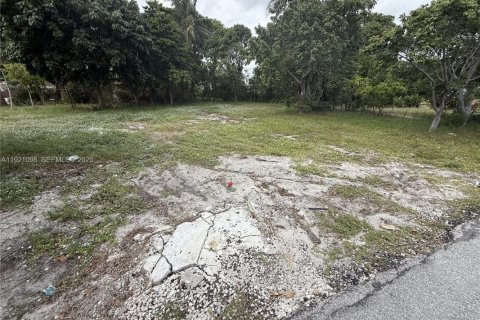Terrain à vendre à Pompano Beach, Floride № 1976414 - photo 3