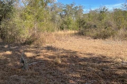 Land in Ocala, Florida № 2118530 - photo 2
