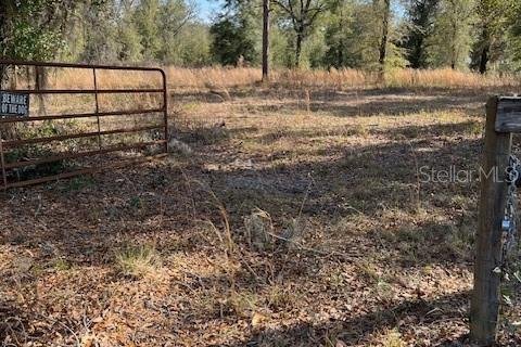 Land in Ocala, Florida № 2118530