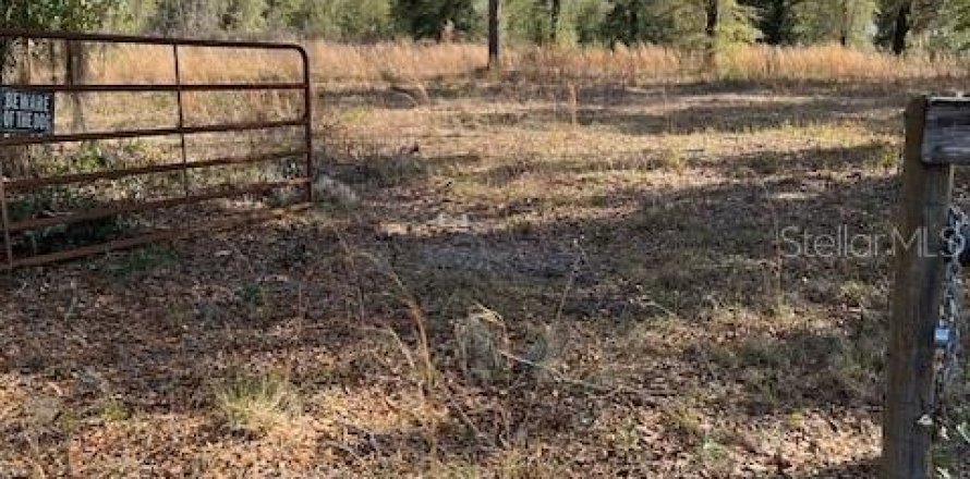 Land in Ocala, Florida № 2118530