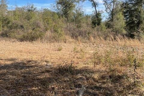 Land in Ocala, Florida № 2118530 - photo 3
