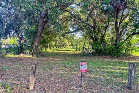 Land in Tampa, Florida № 1786816 - photo 5