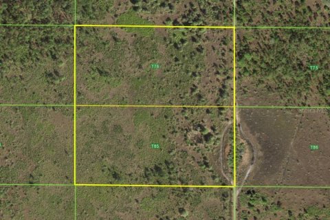 Land in Punta Gorda, Florida № 1679670 - photo 4