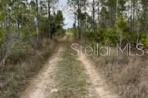 Land in Punta Gorda, Florida № 1679670 - photo 16