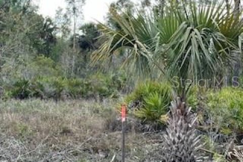 Land in Punta Gorda, Florida № 1679670 - photo 15