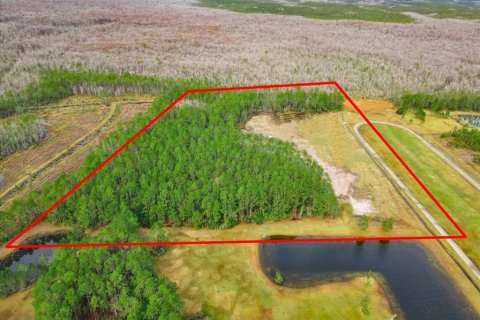 Land in De Leon Springs, Florida № 1722925 - photo 1