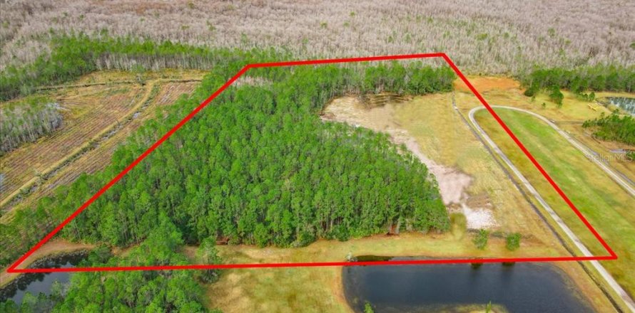 Land in De Leon Springs, Florida № 1722925