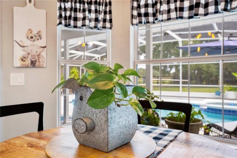 Villa ou maison à vendre à Okahumpka, Floride: 5 chambres, 383.41 m2 № 1903140 - photo 25