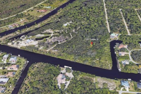 Land in Port Charlotte, Florida № 2299923 - photo 5