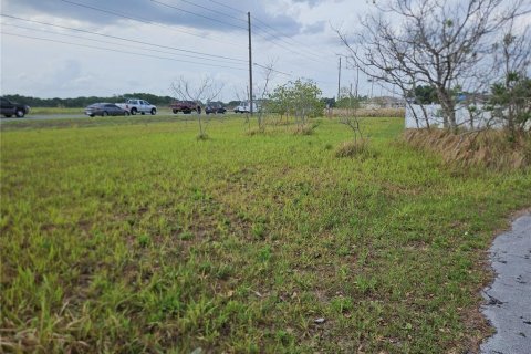Land in Ocala, Florida № 2164204