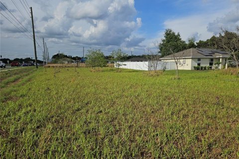 Land in Ocala, Florida № 2164204 - photo 2
