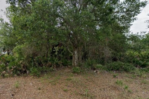 Terrain à Punta Gorda, Floride № 2163030