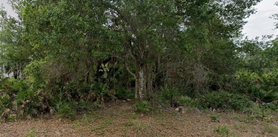 Terrain à Punta Gorda, Floride № 2163030
