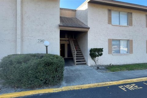 Condo in Tampa, Florida, 1 bedroom № 2212879