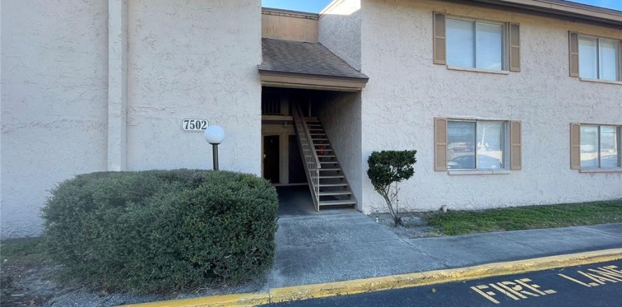 Condo à Tampa, Floride, 1 chambre № 2212879