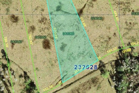 Land in Lakeland, Florida № 2214384 - photo 2