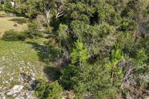 Land in Eustis, Florida № 1538869 - photo 3