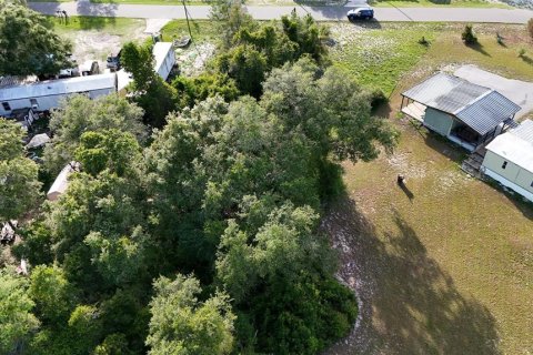Land in Eustis, Florida № 1538869 - photo 5