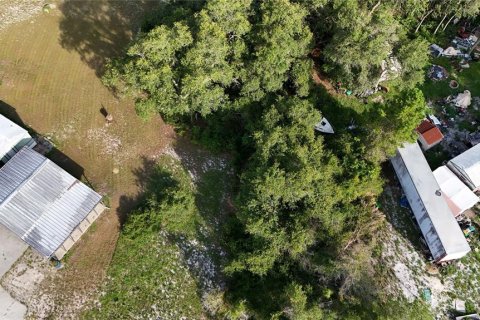 Land in Eustis, Florida № 1538869 - photo 4