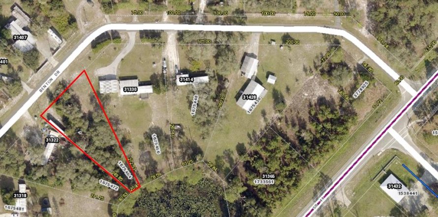 Land in Eustis, Florida № 1538869