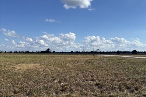 Land in Placida, Florida № 2228557 - photo 2