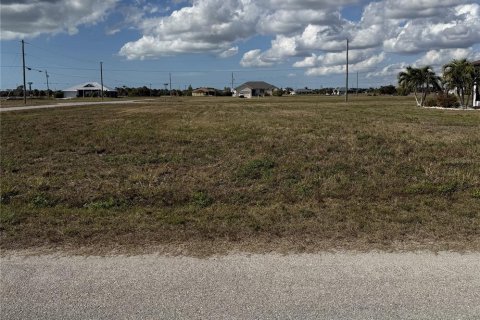 Land in Placida, Florida № 2228557 - photo 3