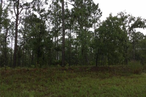 Land in Dunnellon, Florida № 2159194 - photo 2
