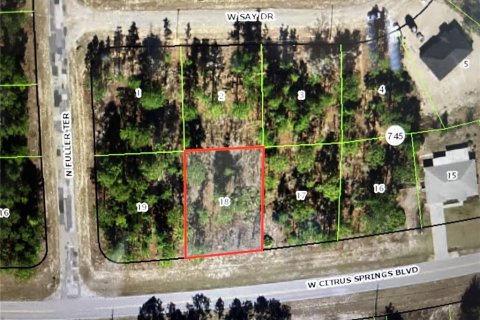 Land in Dunnellon, Florida № 2159194 - photo 3