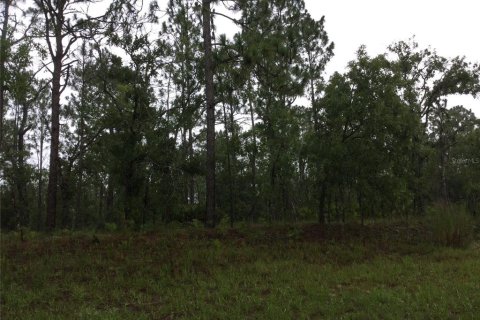 Land in Dunnellon, Florida № 2159194
