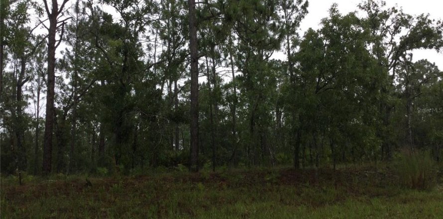 Land in Dunnellon, Florida № 2159194