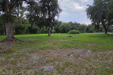 Terrain à Thonotosassa, Floride № 2233198