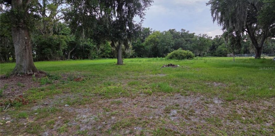 Terrain à Thonotosassa, Floride № 2233198