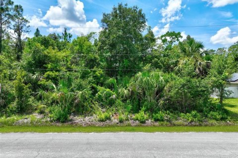 Terreno en venta en Palm Coast, Florida № 1870751 - foto 2