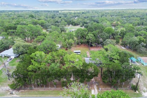 Villa ou maison à vendre à Homosassa, Floride: 3 chambres, 101.45 m2 № 1795297 - photo 14