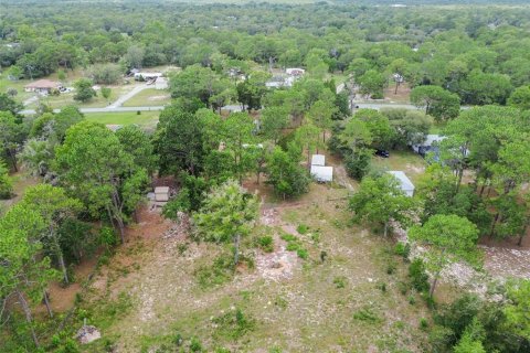 Villa ou maison à vendre à Homosassa, Floride: 3 chambres, 101.45 m2 № 1795297 - photo 12
