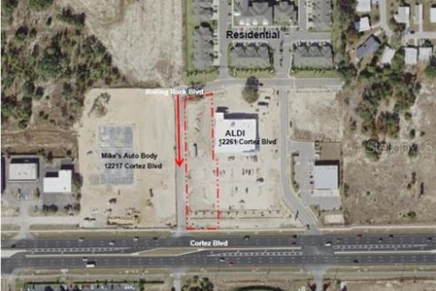 Land in Brooksville, Florida № 224836 - photo 1