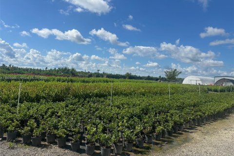 Commercial property in Homestead, Florida № 2012337 - photo 3