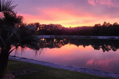 Villa ou maison à vendre à Wesley Chapel, Floride: 5 chambres, 275.18 m2 № 2215385 - photo 2