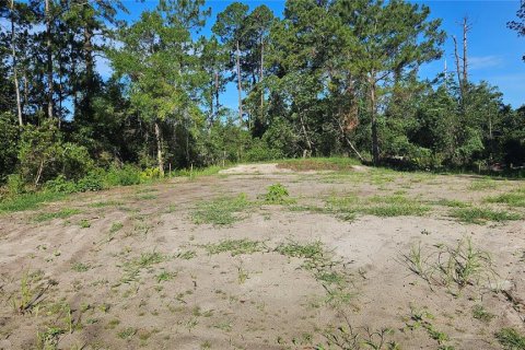Terrain à vendre à DeLand, Floride № 1834932 - photo 3