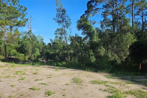 Terrain à vendre à DeLand, Floride № 1834932 - photo 4
