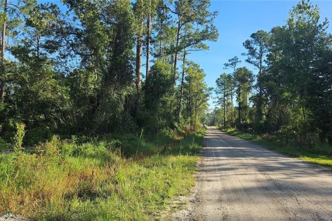 Terrain à vendre à DeLand, Floride № 1834932 - photo 2