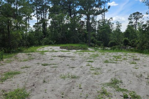Terrain à vendre à DeLand, Floride № 1834932 - photo 7