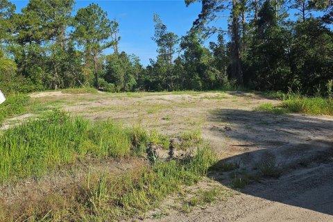 Terrain à vendre à DeLand, Floride № 1834932 - photo 6