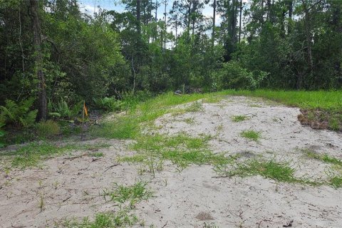 Terrain à vendre à DeLand, Floride № 1834932 - photo 9